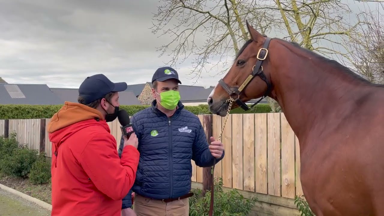 Route des Etalons 2022 : Le Brivido au Haras de la Haie Neuve