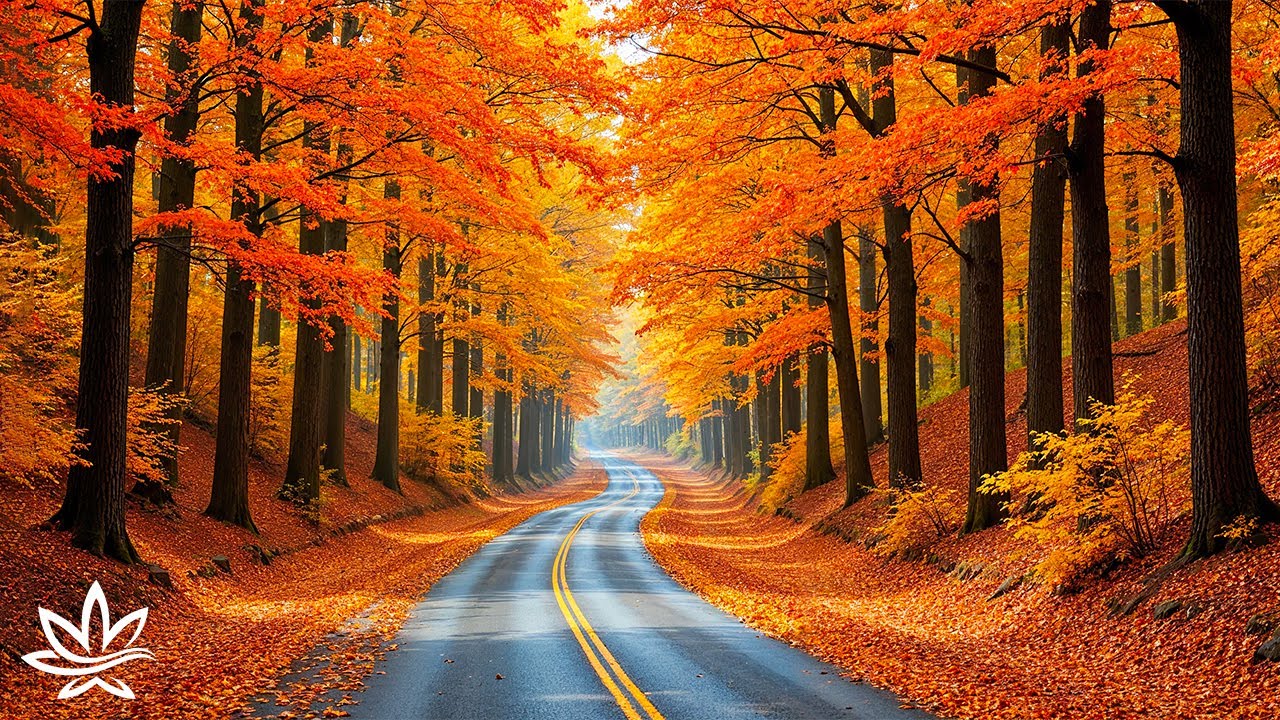 Красивая расслабляющая музыка и осенний пейзаж 🍂 Музыка для исцеления, снятия стресса и успокоения