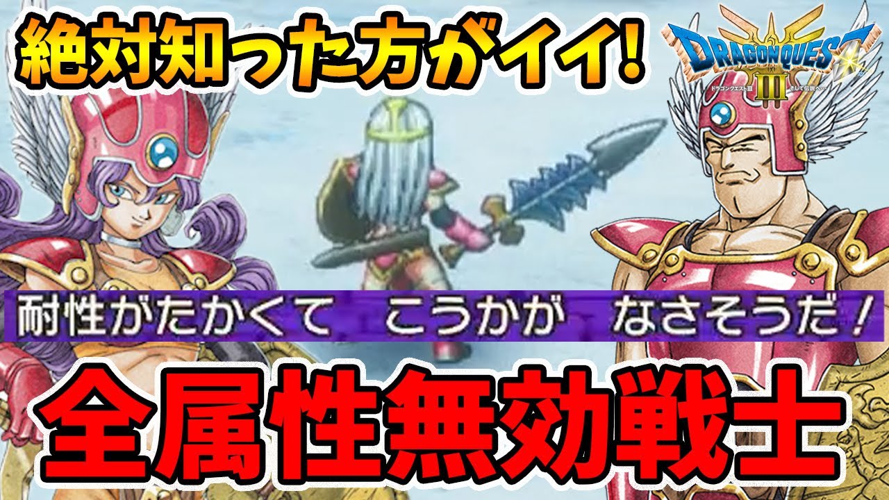 全魔法無効化！98%の人が知らない最強戦士の作り方！【ドラクエ3リメイク】【naotin】
