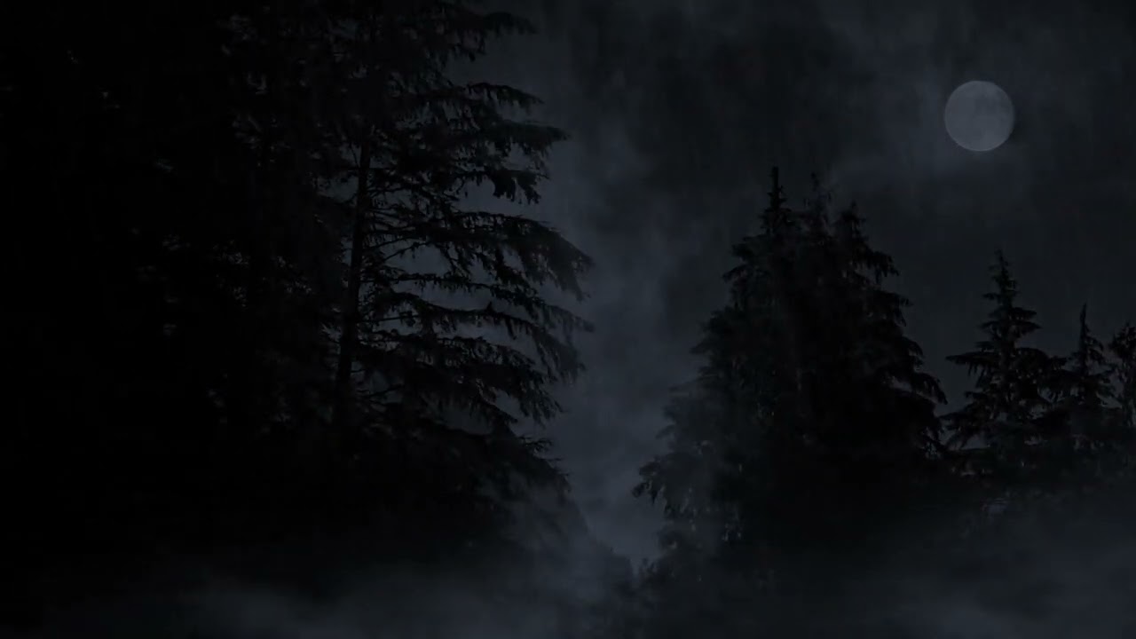 Rain storm forest ambience wind and thunder