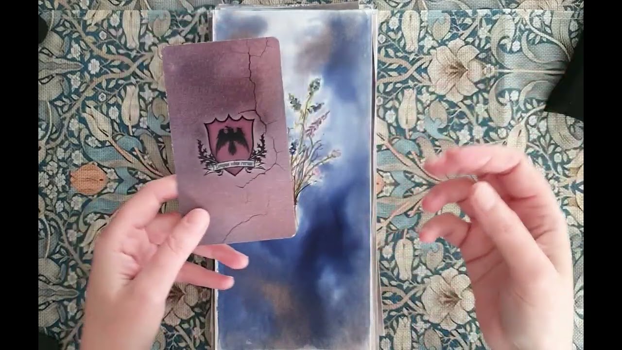Les illustrations du Manoir l'héritage 🥀🩸🏰🖤🕸 et le futur plan... 