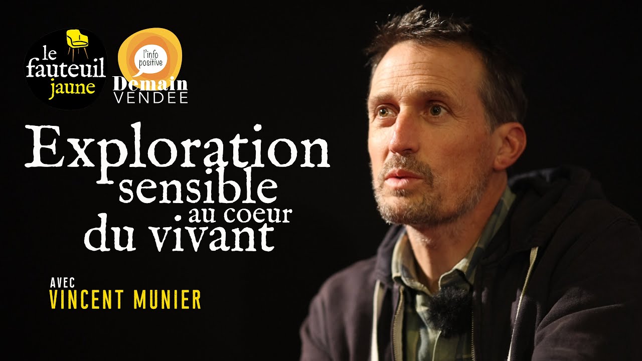 Le Chant des Forêts : Vincent Munier, regard sensible et poétique au cœur du vivant