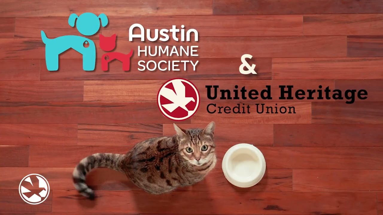 Buy a Home with UHCU and Adopt a Pet from Austin Humane Society