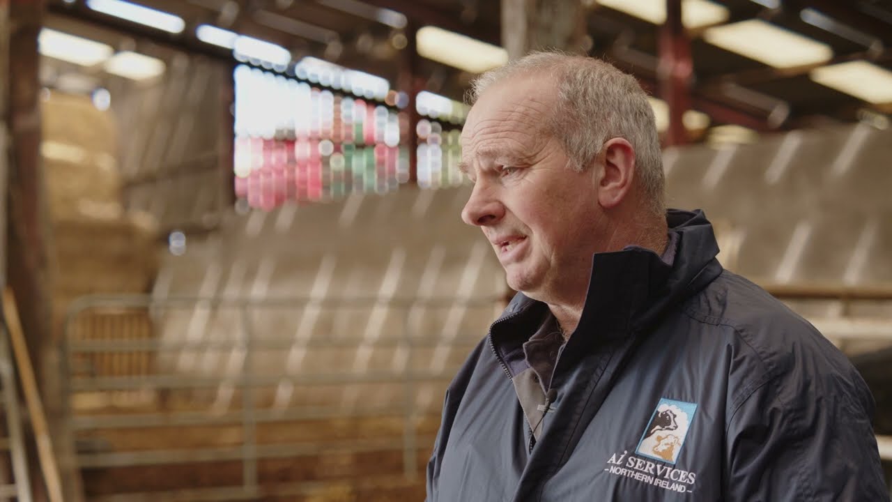 Breeding Series: Using sexed semen to increase components and fertility.