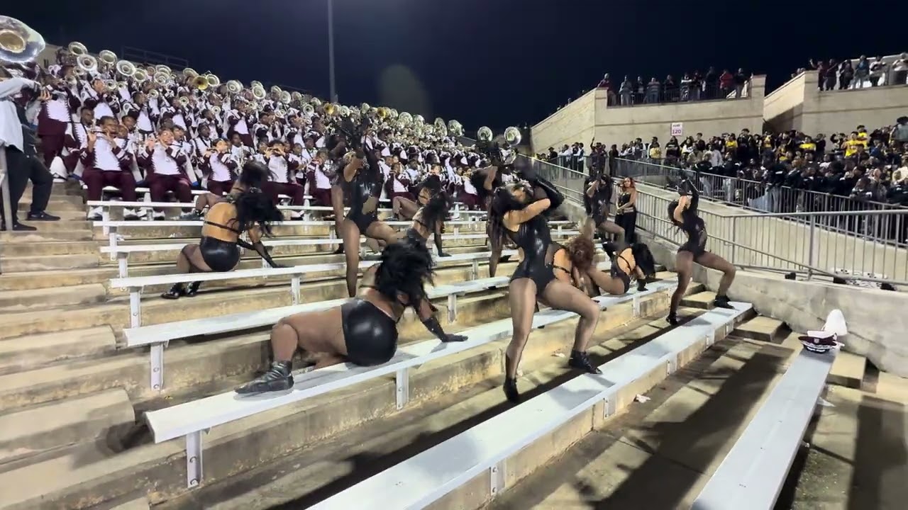 TxSu Motion vs Alabama St. 2025 “Who’s Lovin You”
