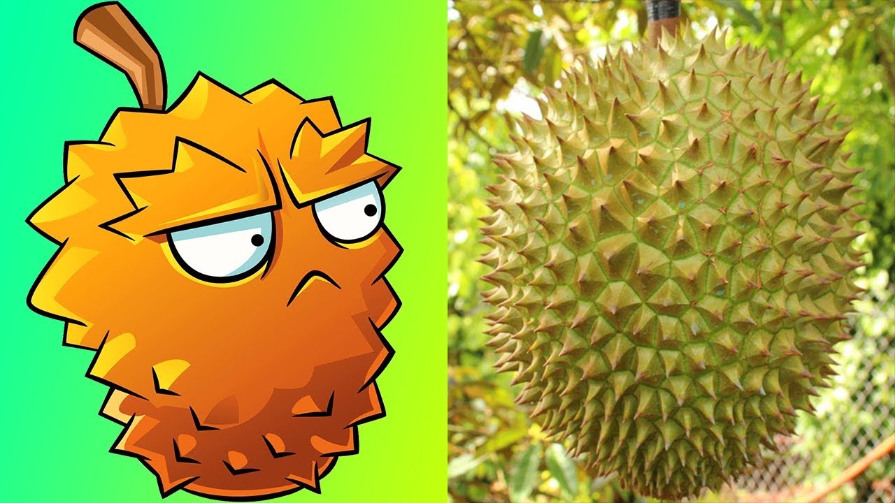 Plants vs Zombies 2 Plants In Real Life