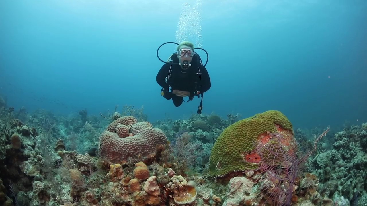 ScubaLab TV: Cressi Ace and Patrol Scuba Diving BCs