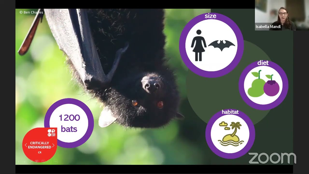 Livingstone's Flying Fox Webinar