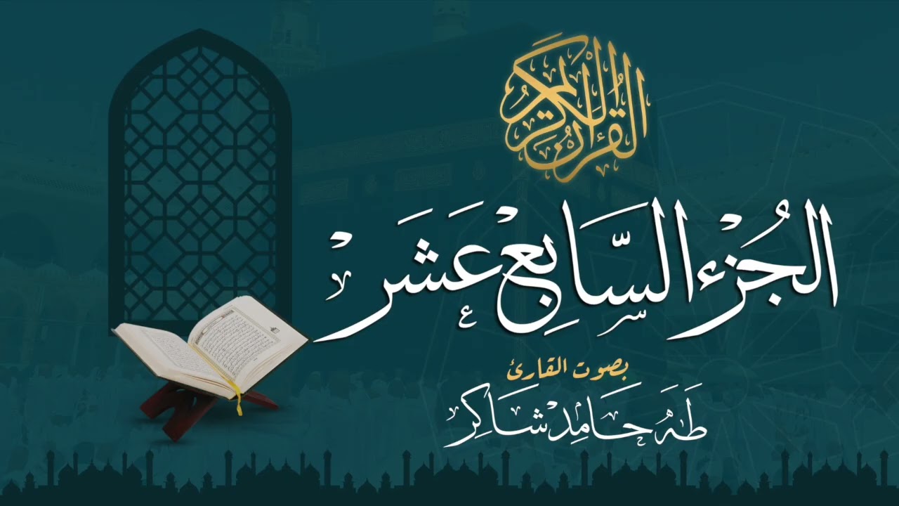 الجزء السابع عشر