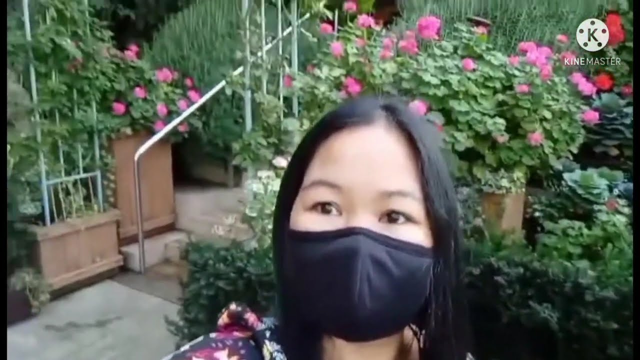Part 2 Flower Dome