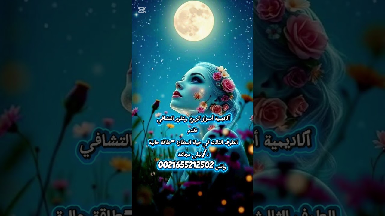 الطرف الثالث في حياة المطارد -طاقة حالية