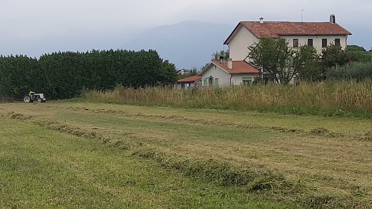 bertolini 533 dt