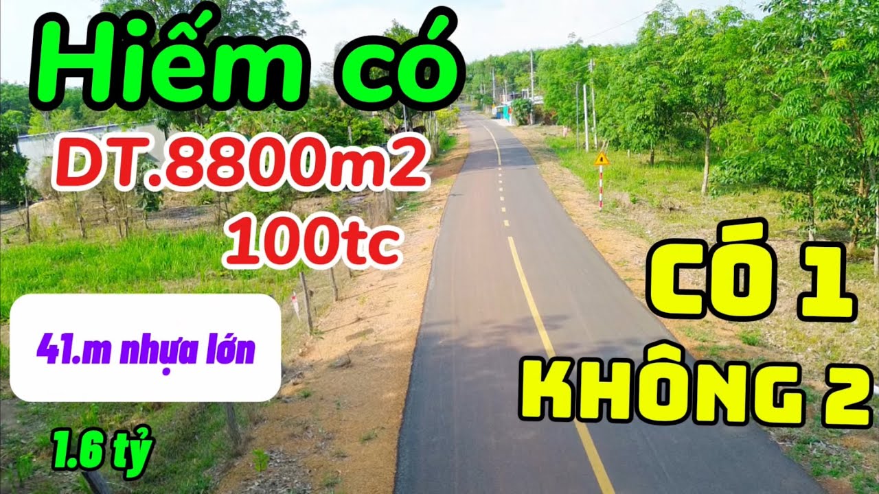 ❤️Hiếm có - chủ cần thanh lý gấp 8800m2 100m2ONT 41m lộ nhựa lớn -  hơn 420 cây Cao Su  đang cạo ❤️