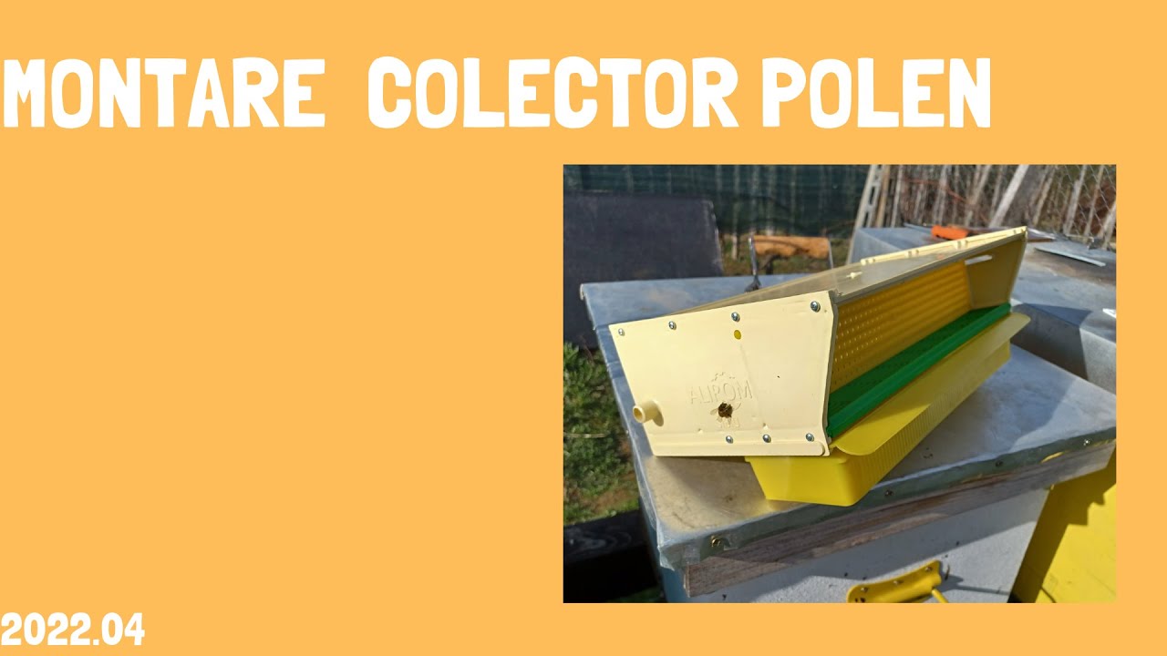 Montare colector polen Alirom pe stup de 10 rame cu fund Nicot