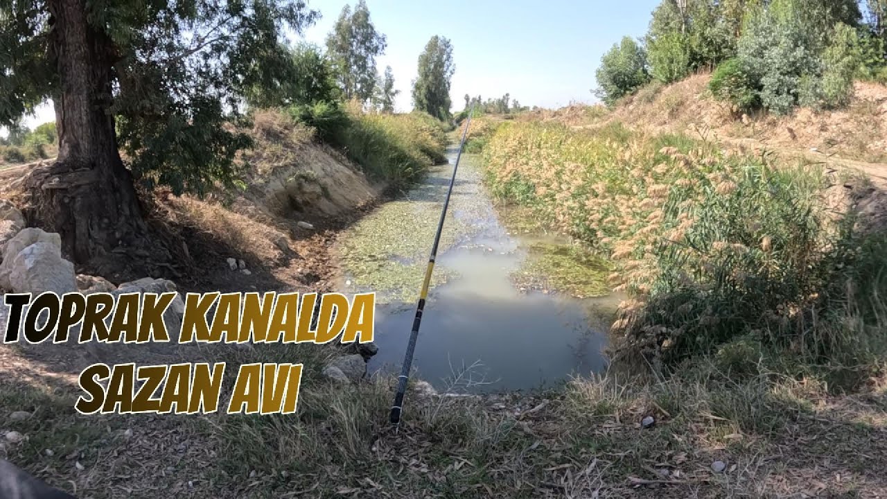 TOPRAK KANLDA SAZAN AVI, TATLI SULARDA GÜNAH KEÇİSİ AMATÖR BALIKÇILAR,SUÇLUYU BULDUNUZ VURUN ABALIYA