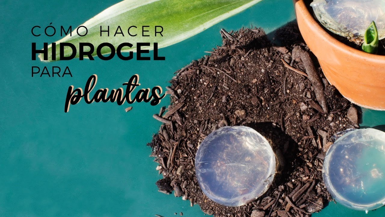 Aprende a hacer Hidrogel para plantas casero y olvídate de regar por 15 Días