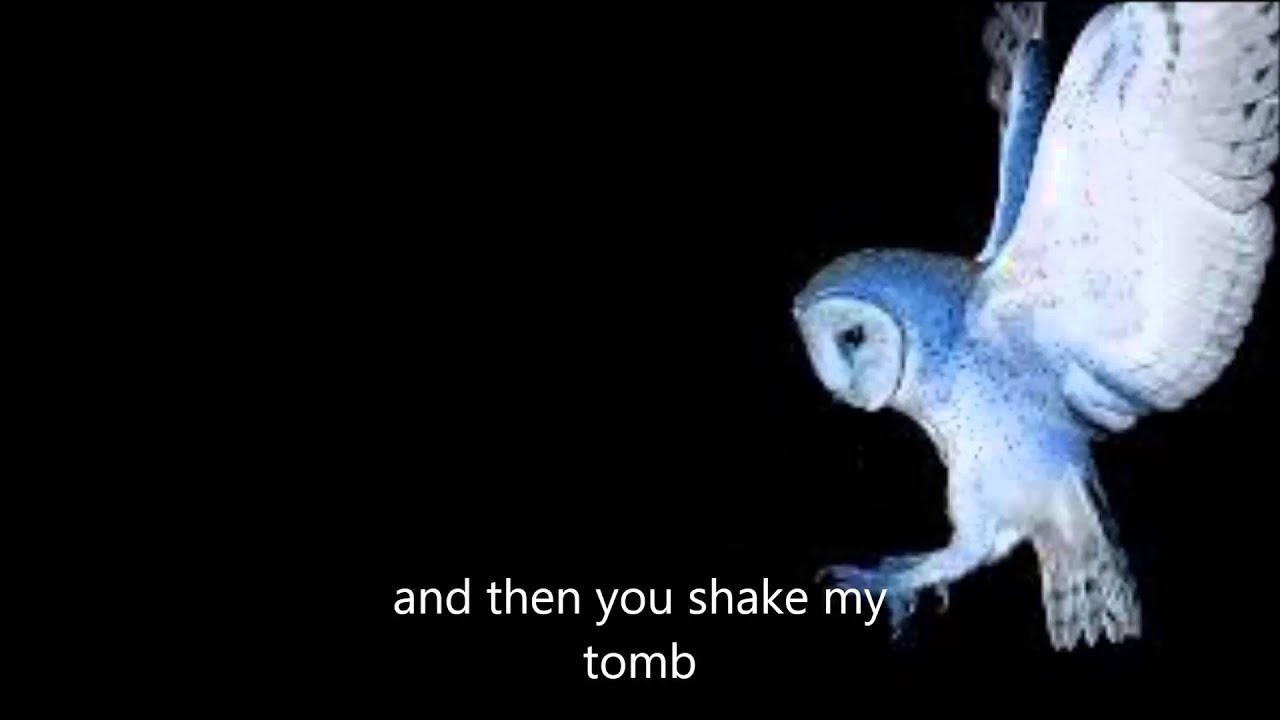 Deftones - You've Seen The Butcher - Lyrics