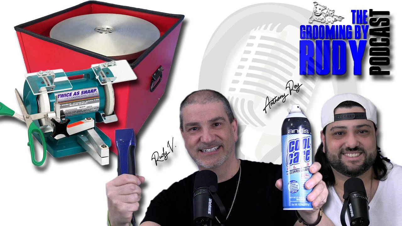 How To Maintain Your Grooming Equipment | Clippers, Blades, & Shears Explained