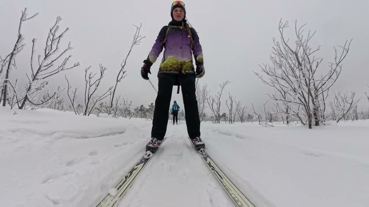 23 февраля 2026 г.