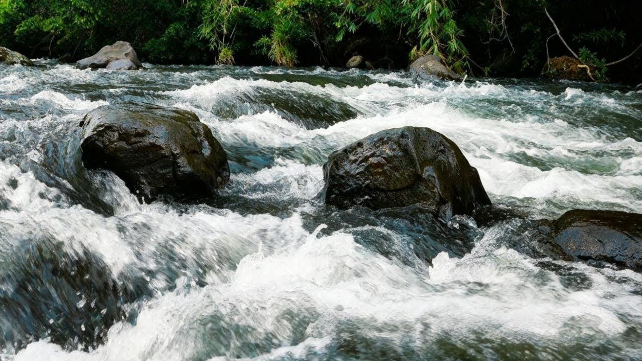 SOOTHING STREAM SOUNDS FOR RELAXATION, STUDY & SLEEP , CALMING NATURE ASMR LIVE