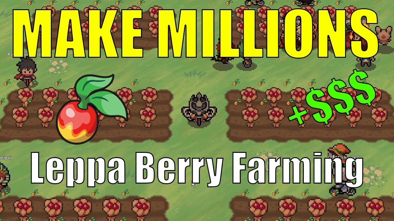 How to Farm Leppa Berries in PokeMMO (Money Making Strategy PokeMMO)