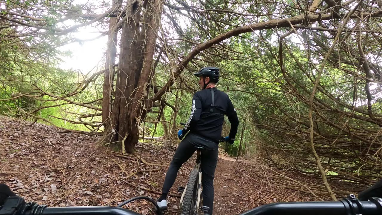 Box Hill Mickleham Ranmore (e)mtb ride