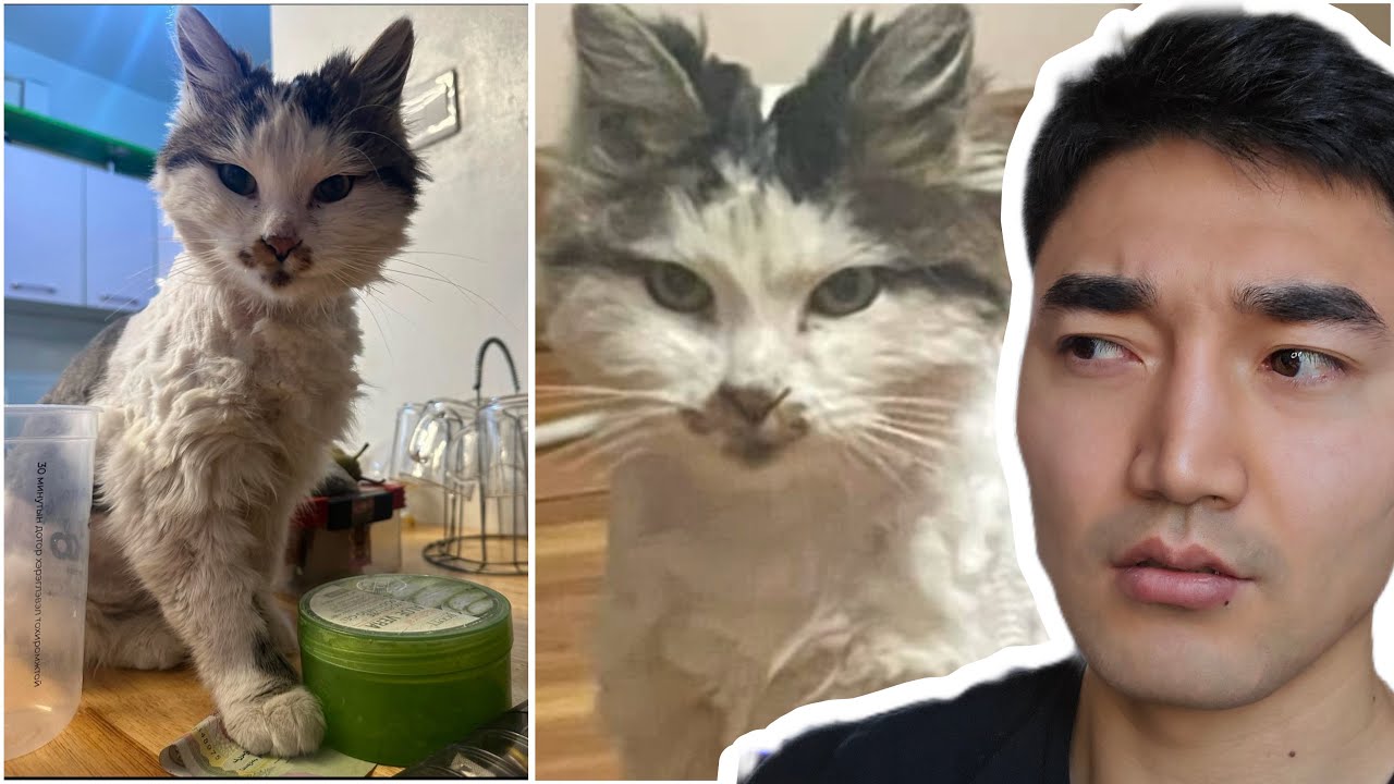 ЭНЭ МУУРЫГ МОНГОЛ ДАЯАР ТАНИНА...