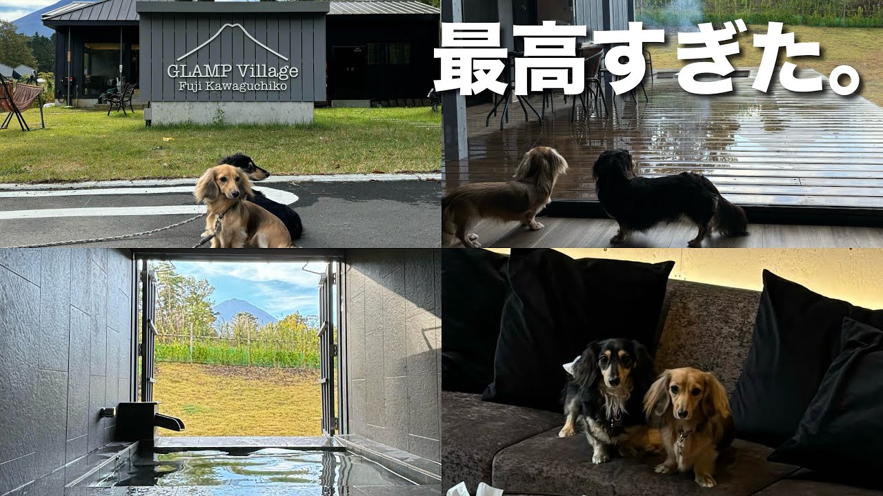 【 グランピングヴィレッジ富士河口湖 】 愛犬とグランピング