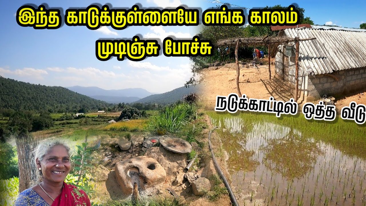 காட்டுக்குள்ளையே எங்க காலம் முடிஞ்சு போச்சு | நடுக்காட்டில் ஒத்த வீடு | 