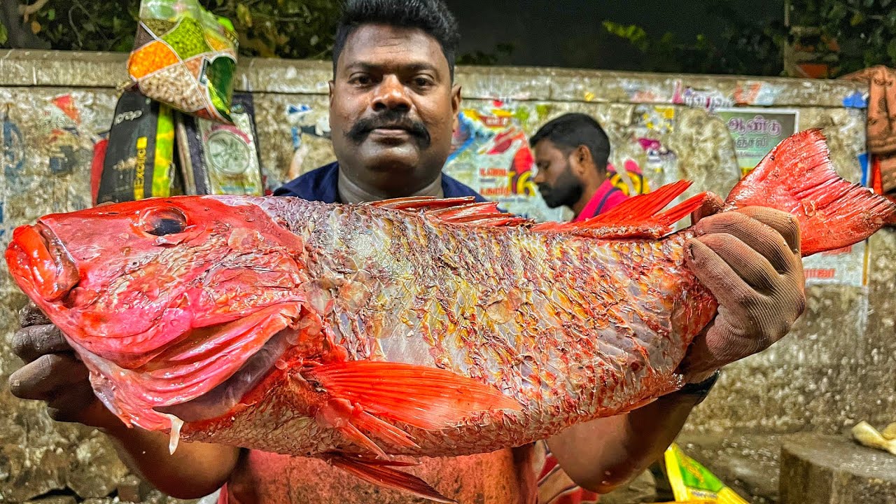 KASIMEDU 🔥 SPEED SELVAM | HUGE RED SNAPPER FISH CUTTING VIDEO | 4K VIDEO | KM FISH CUTTING