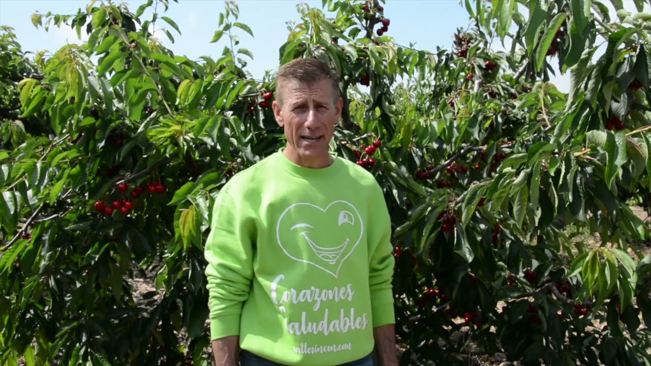 El cultivo de la cereza en La Rioja. Adolfo Nájera