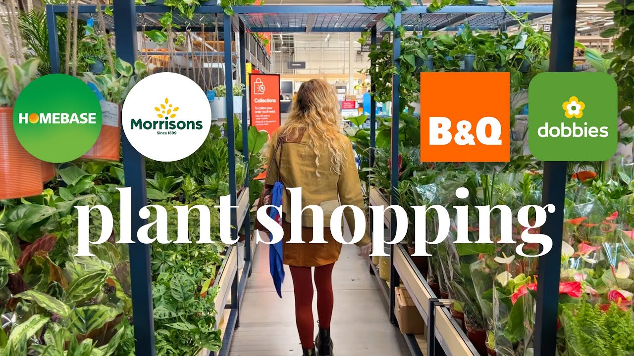 BIG BOX Plant Shopping in the UK 🪴 B&Q, Dobbies, Morrisons, B&M + Homebase 🌿