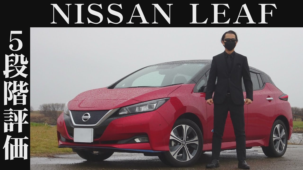 【オーナー 閲覧注意】日産 リーフ　正直レビュー