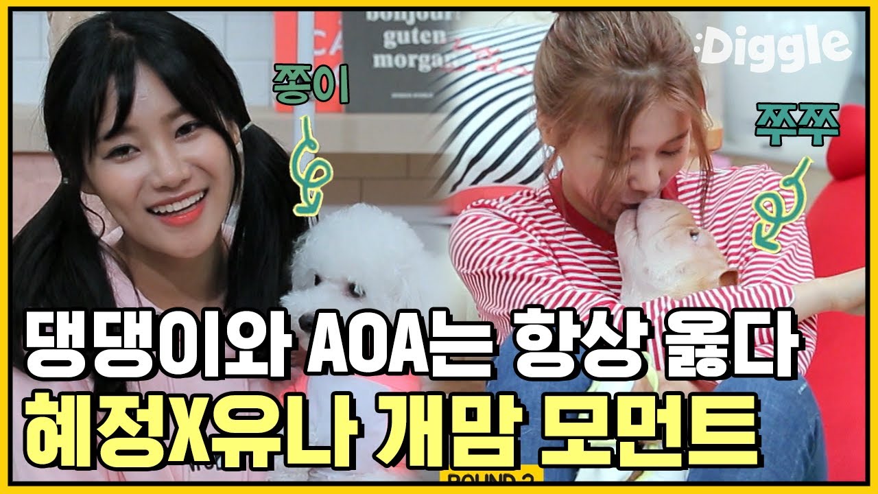(ENG/SPA/IND) [#ChannelAOA] Dog Featuring AOA…? Yu Na X Hye Jeong Dog Mom Moments #Mix_Clip #Diggle