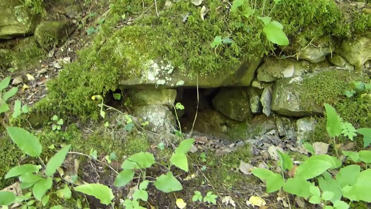 Fautsburg bei Bad Wildbad