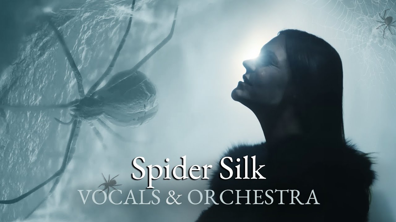 Nightwish - Spider Silk (Vocals & Orchestra Remix) + Lyrics 🕷⚠️