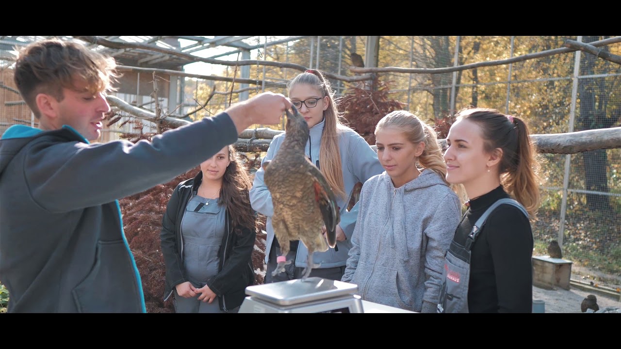 Tierpflegeschule an der VetmedUni Vienna
