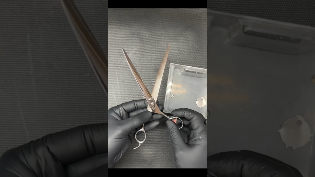 Sharpening a curved grooming shear #shorts