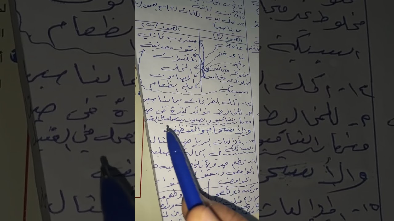 ٢٨ ديسمبر ٢٠٢٥