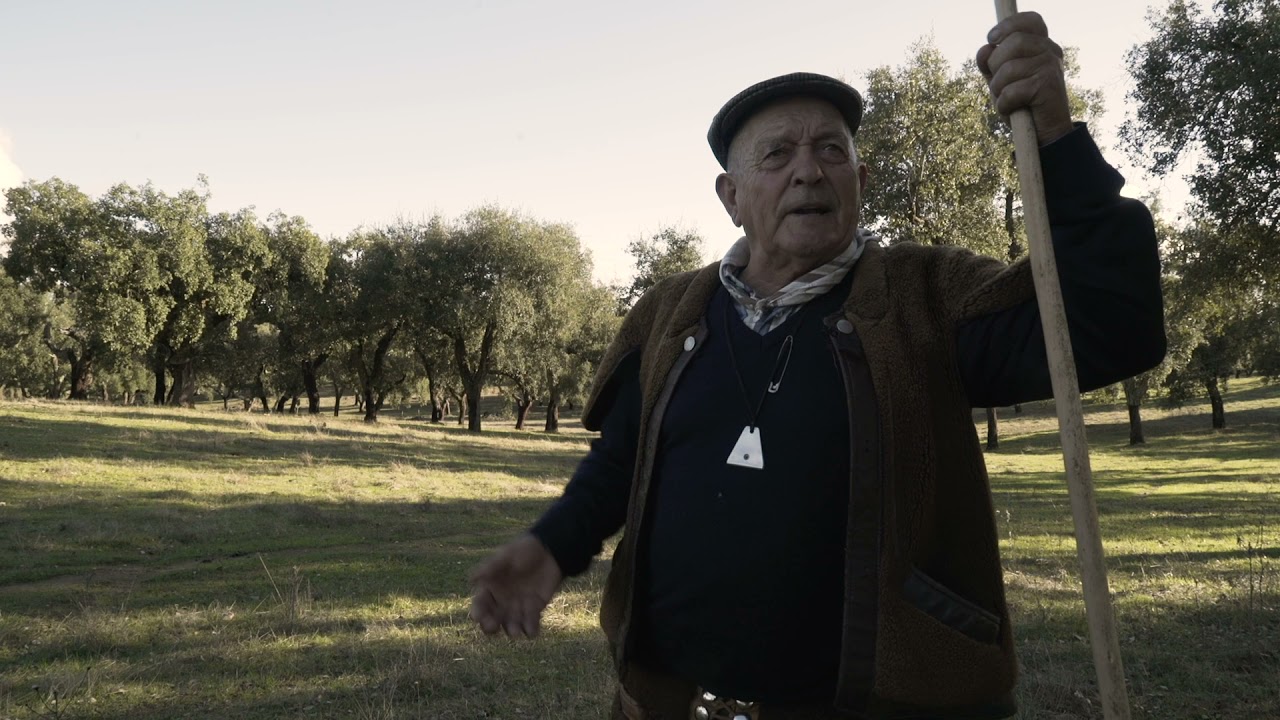 Ti Barriga Verde 