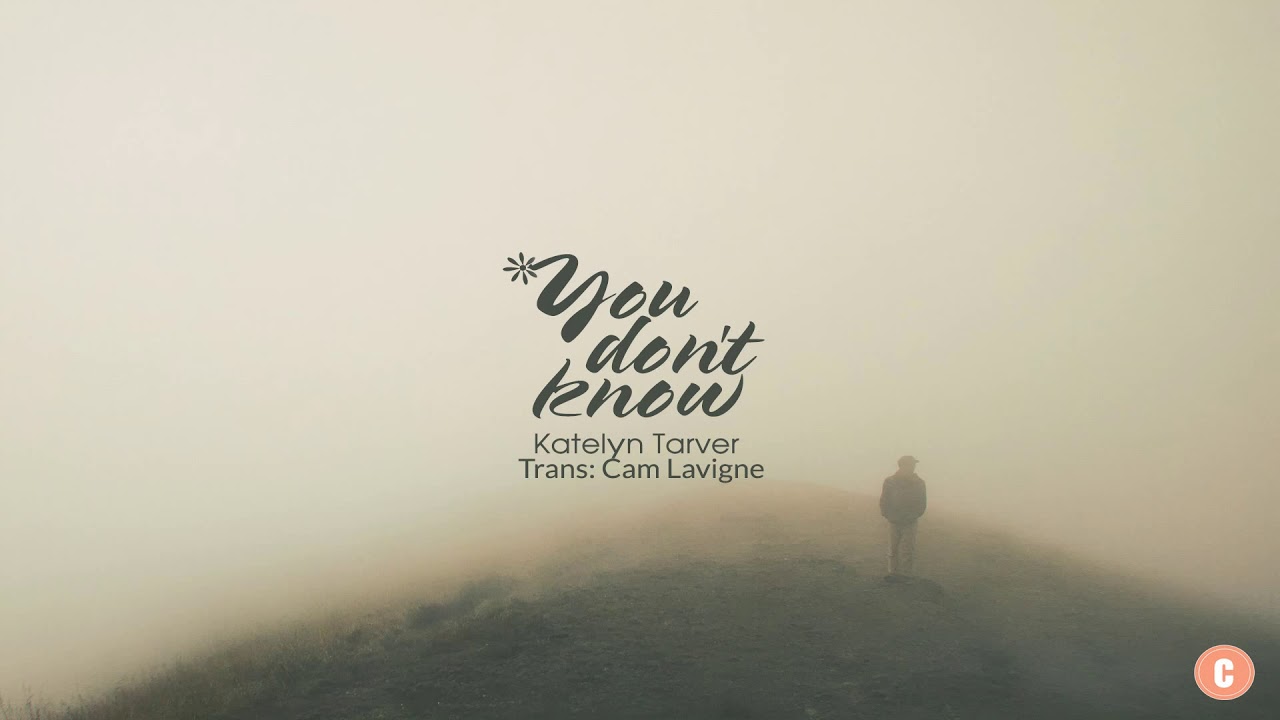 [Vietsub + Lyrics] You Don't Know - Katelyn Tarver
