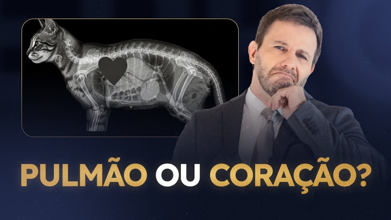 Tosse Cardiogênica: Como Diferenciar do Problema Pulmonar Sem Errar