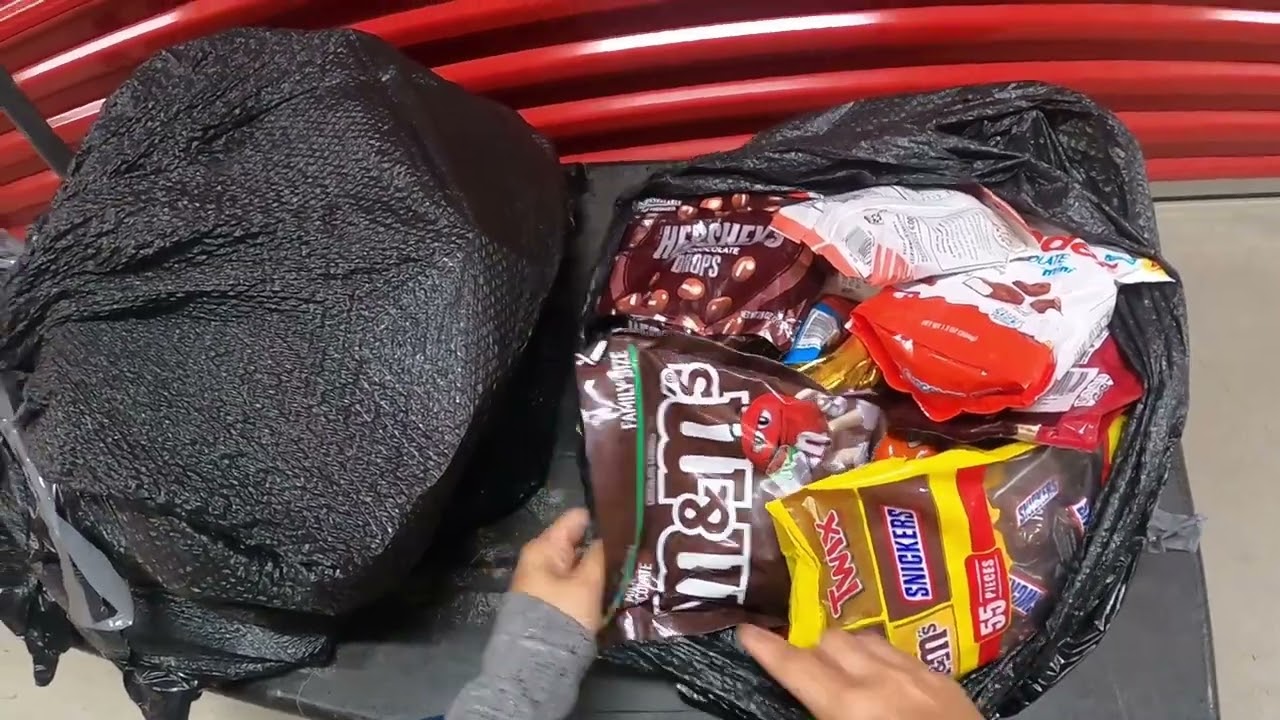 Dumpster Diving USA : Unlimited chocolate, shampoo, conditioner from expensive Pharmacy
