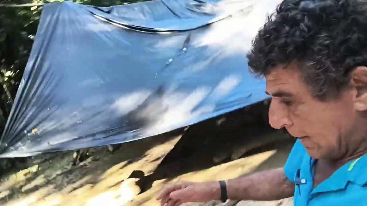 Perdido na selva! parte 2.