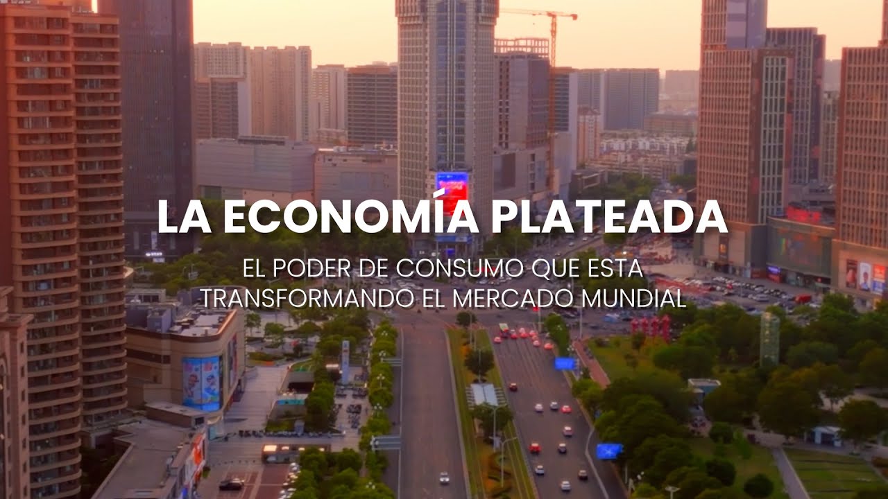 &iquest;Qu&eacute; es la econom&iacute;a plateada? | Comercio y Negocios