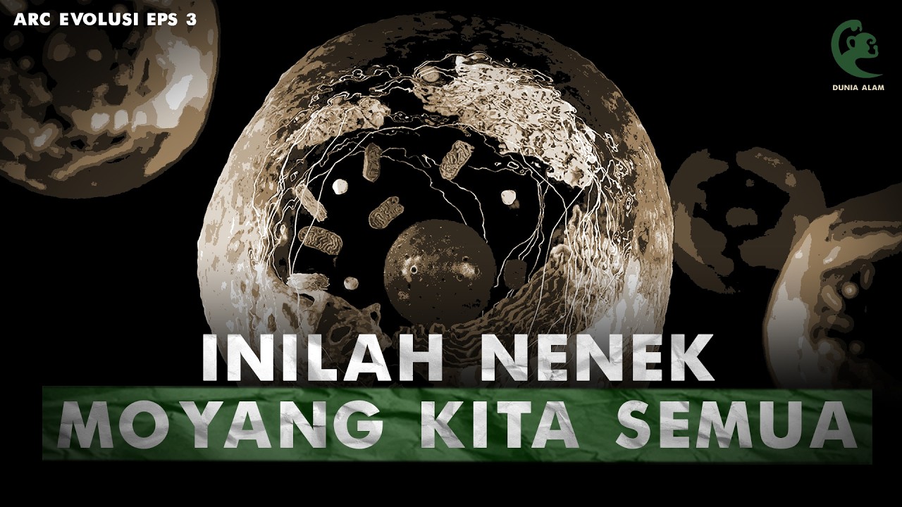 Manusia, Hewan, Tumbuhan, dan Semua Mahluk Berevolusi Dari Sini! | Arc Evolusi Eps 3: LUCA