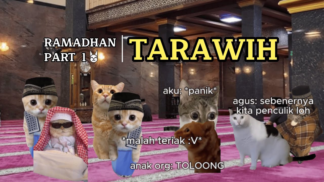 Pov: ramadhan (1) | Tarawih | Special Ramadhan | Meme Kucing | #pov #meme #kucing #cat