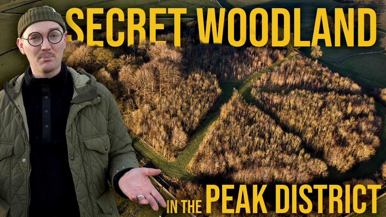 SECRET historic woodland in the PEAK DISTRICT