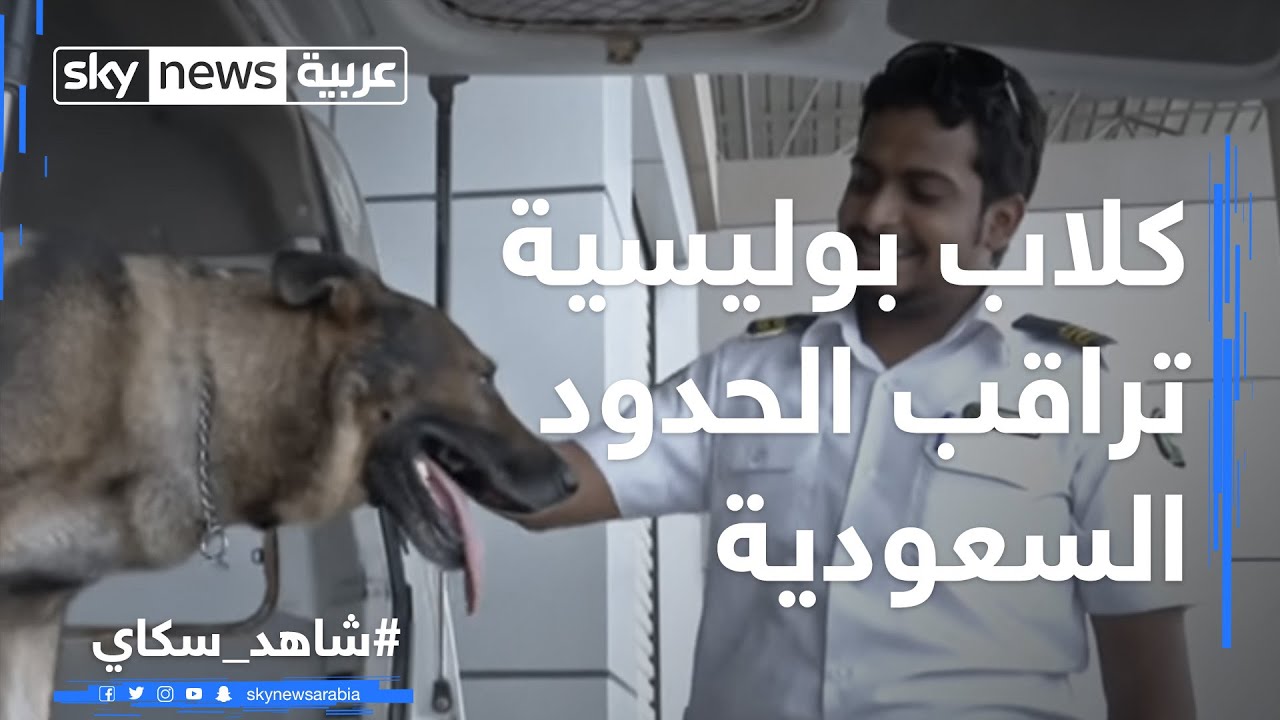 كلاب بوليسية تراقب الحدود السعودية