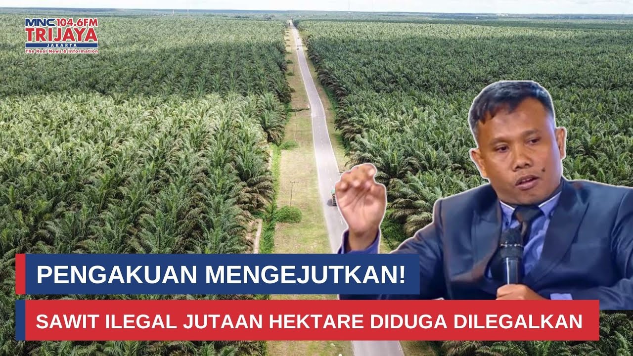 Ahmad Khozinudin Bongkar Skandal Sawit Ilegal 3,3 Juta Hektare I Rakyat Bersuara